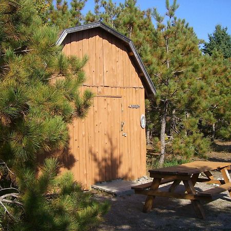 Little Cove Adventures Hotel Tobermory Exterior foto
