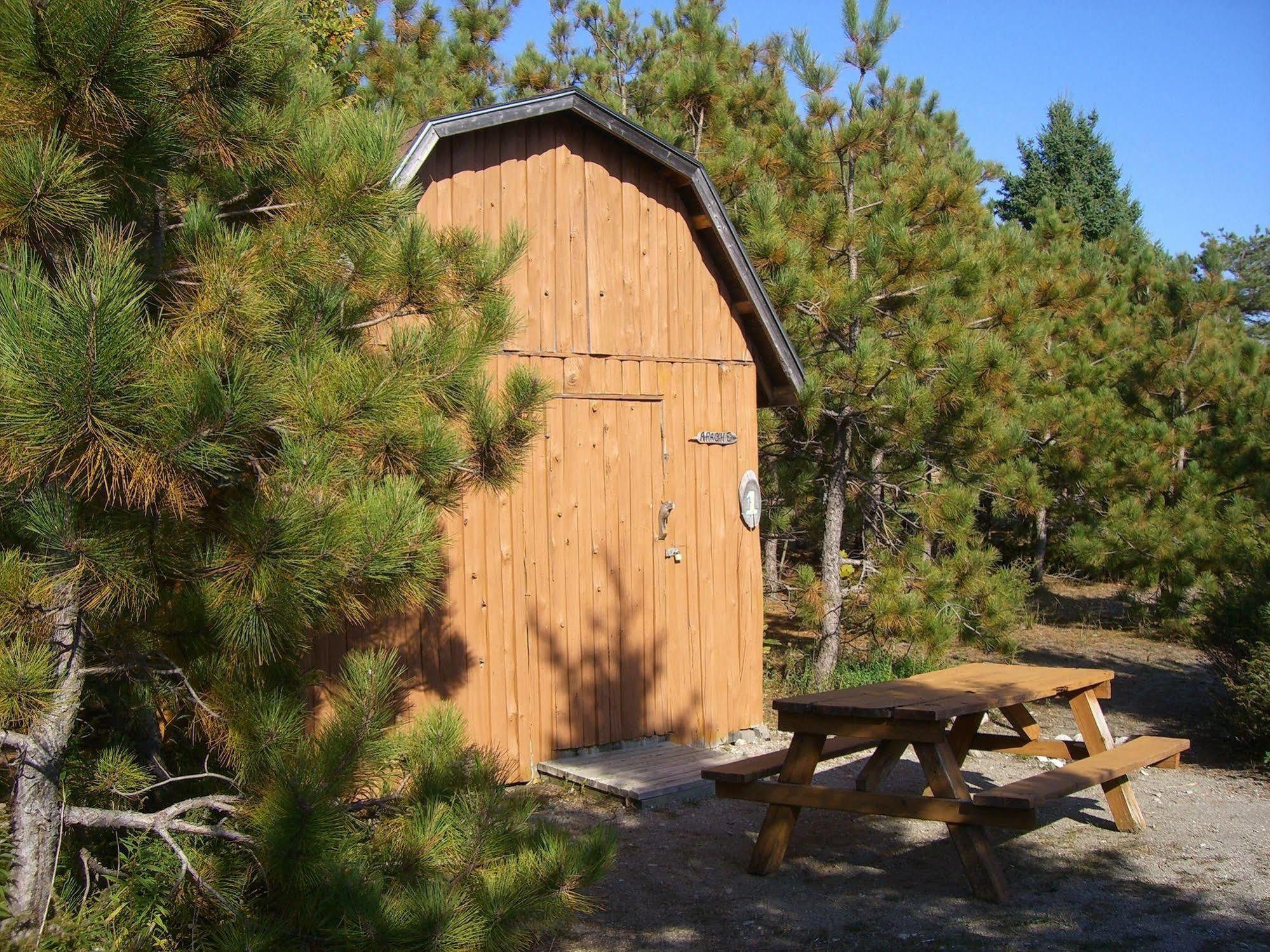 Little Cove Adventures Hotel Tobermory Exterior foto